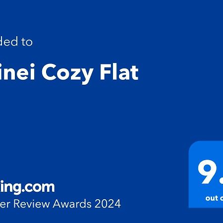 Doinei Cozy Flat Timişoara Exterior foto