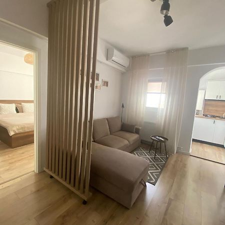 Doinei Cozy Flat Timişoara Exterior foto