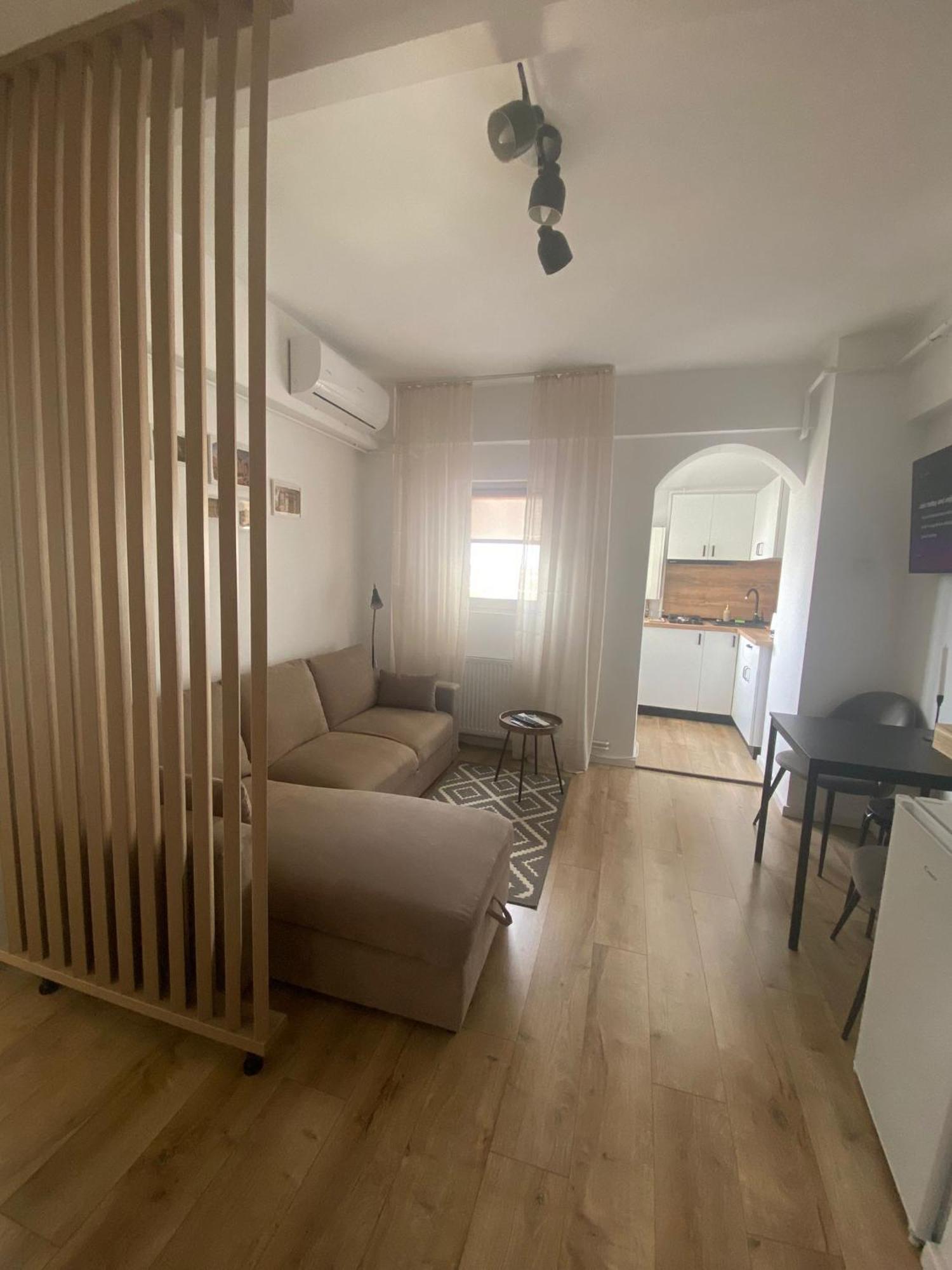 Doinei Cozy Flat Timişoara Exterior foto