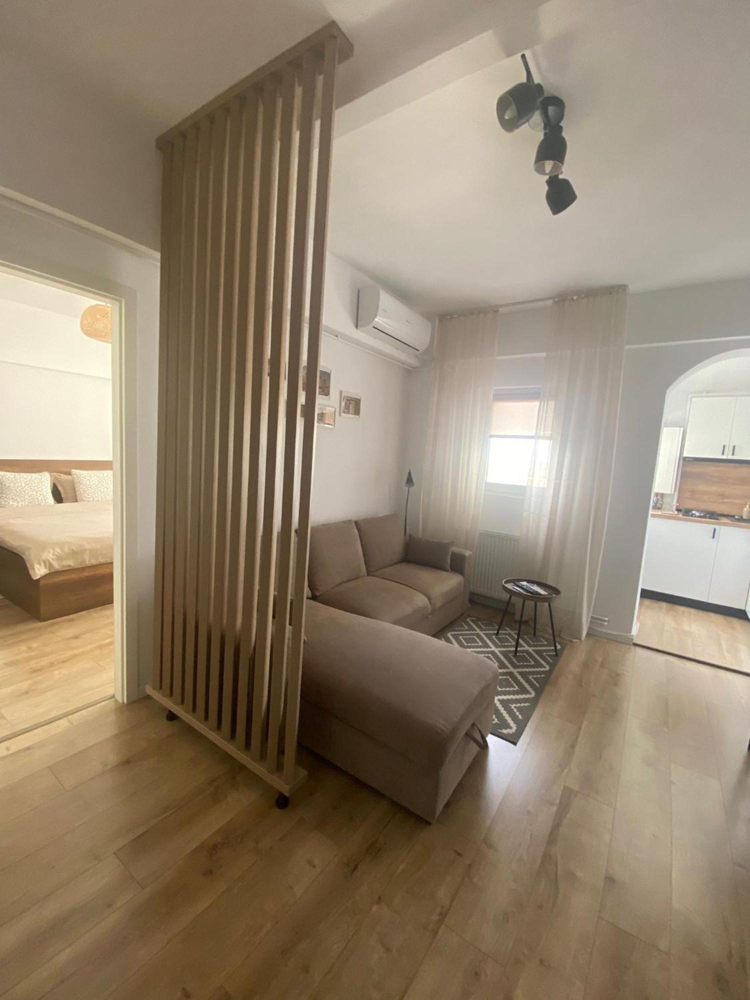 Doinei Cozy Flat Timişoara Exterior foto